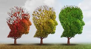 Alzheimer’s Series Part 5 of 5: Putting it all together: How you can protect yourself from the coming Alzheimer’s epidemic