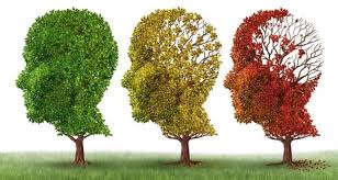Alzheimer’s Series Part 1 of 5: Dementia, Alzheimer’s disease, and the good news from new research